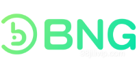 BNG Payment Partner